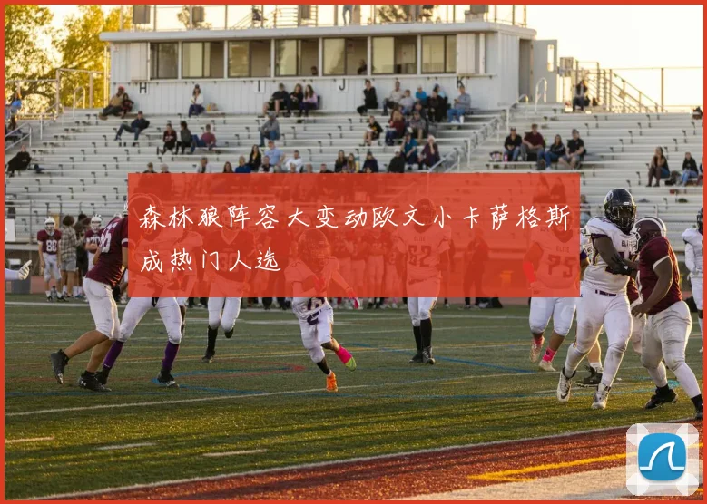 森林狼阵容大变动欧文小卡萨格斯成热门人选