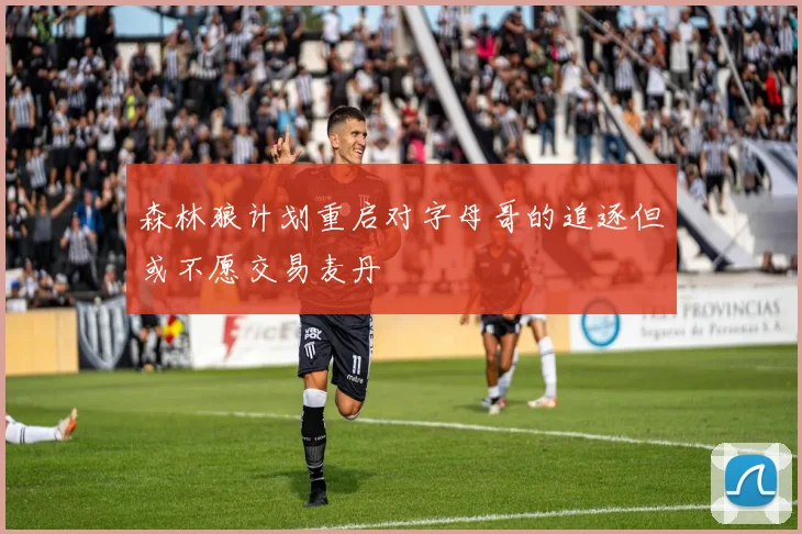 森林狼计划重启对字母哥的追逐但或不愿交易麦丹